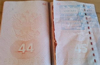 Госпошлина за смену паспорта в 2021 году: сумма, где и как платить